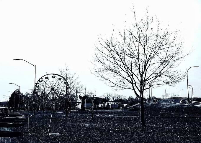 Midway in Silhouette