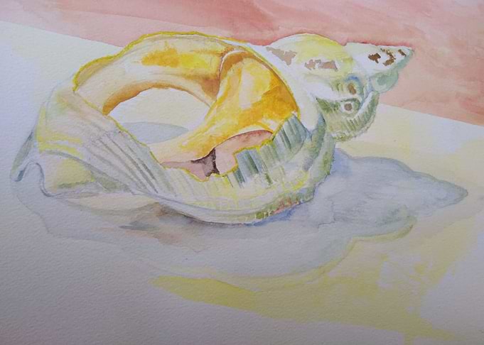 Snail
