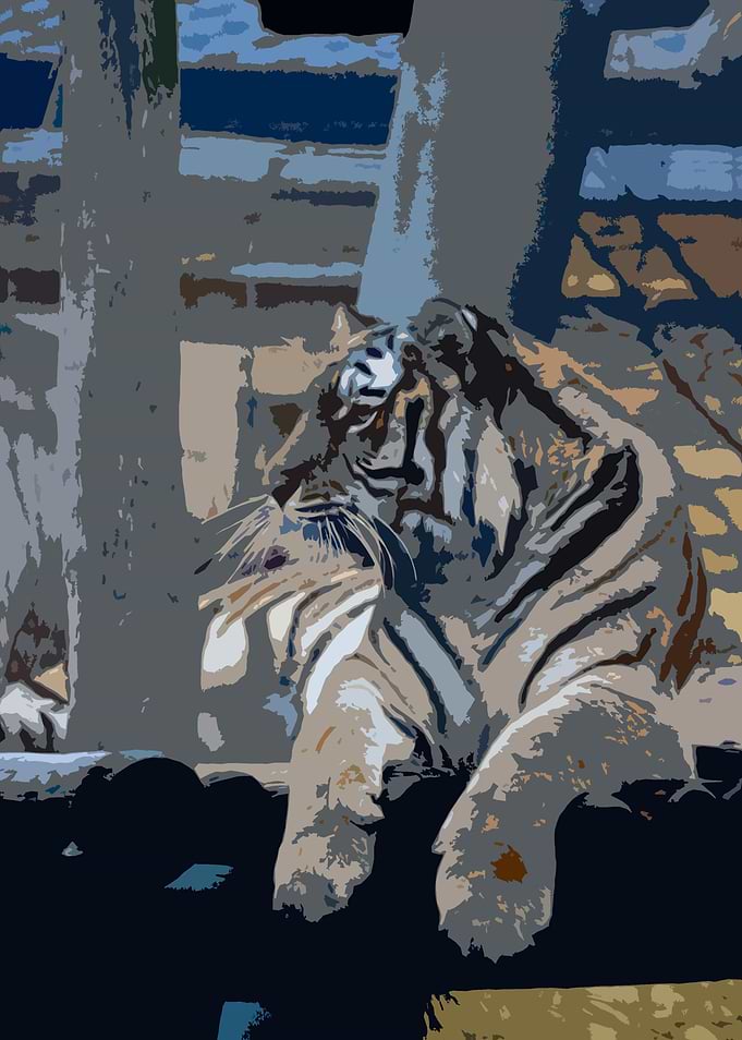 Time is a Tiger