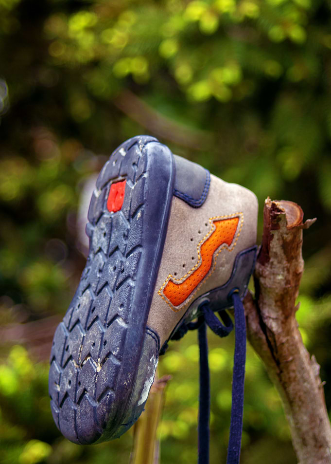 The lonely shoe