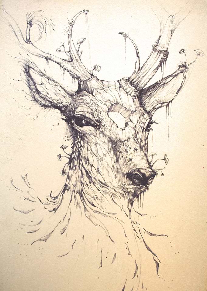 Dance of Nature