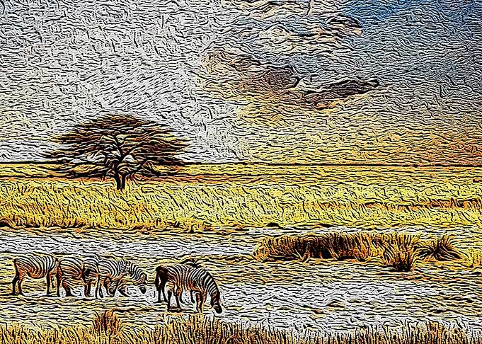 Dry Lands