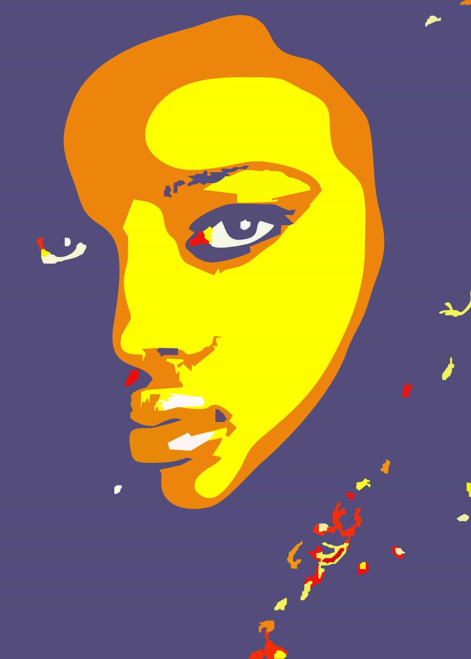 Popart Mural image 4