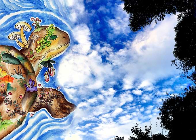 Sky Tortoise