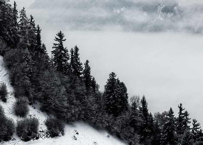Mountain Art Picture