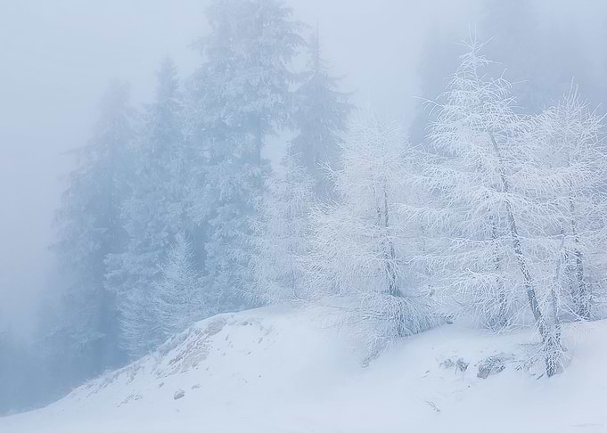 frozen fog