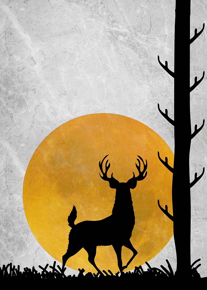 Deer Sunset