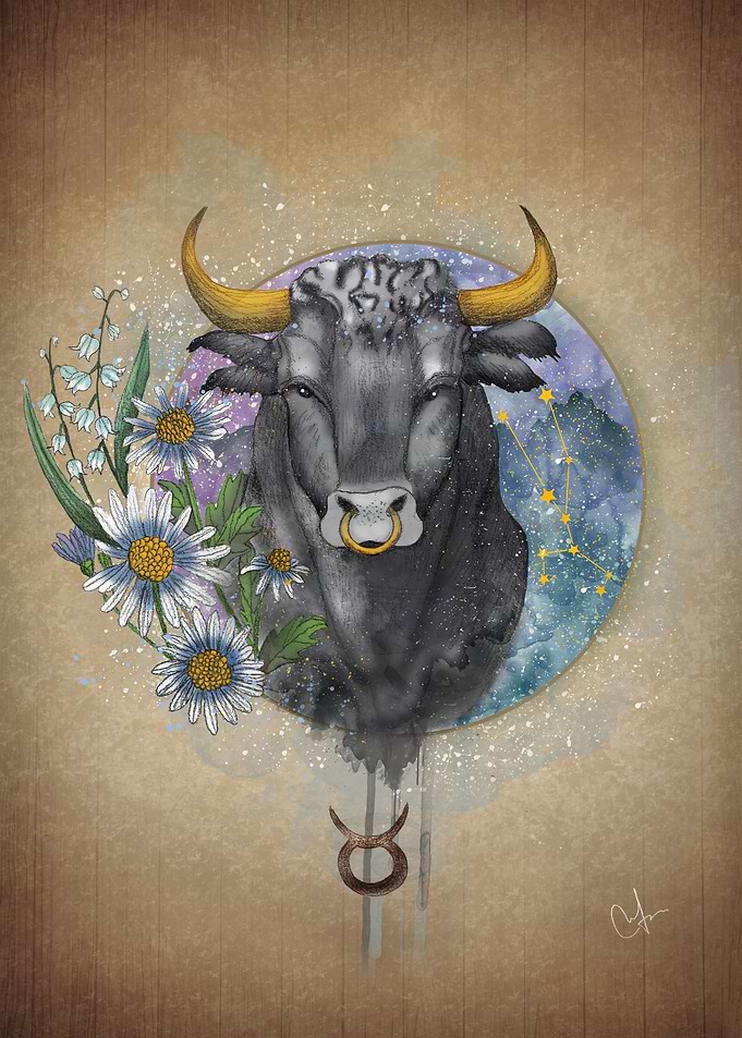 Taurus Zodiac Sign