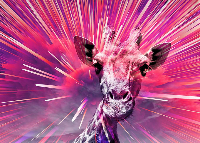Giraffe pop 5