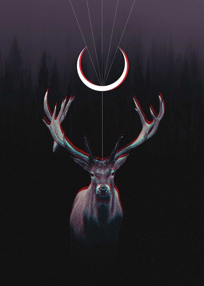 Deer From the Woods