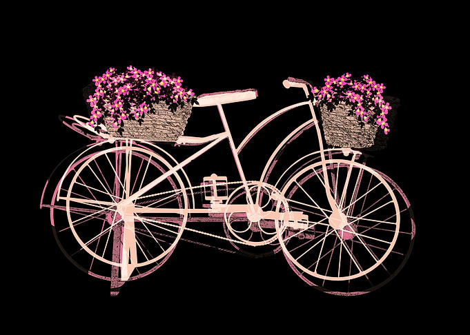 Bicycle and flowers