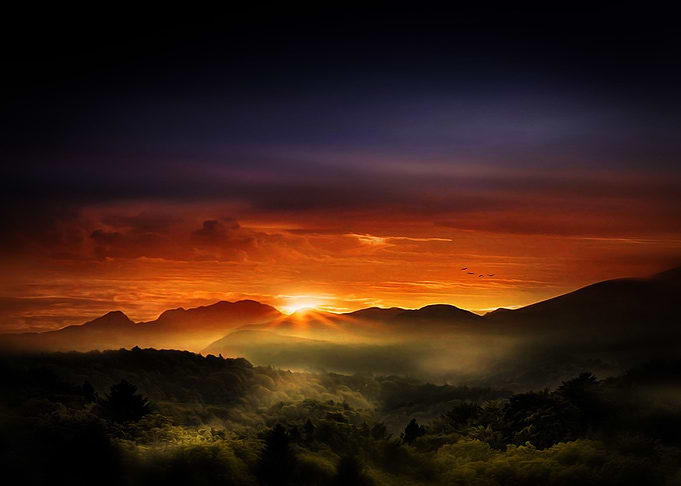 nature 1