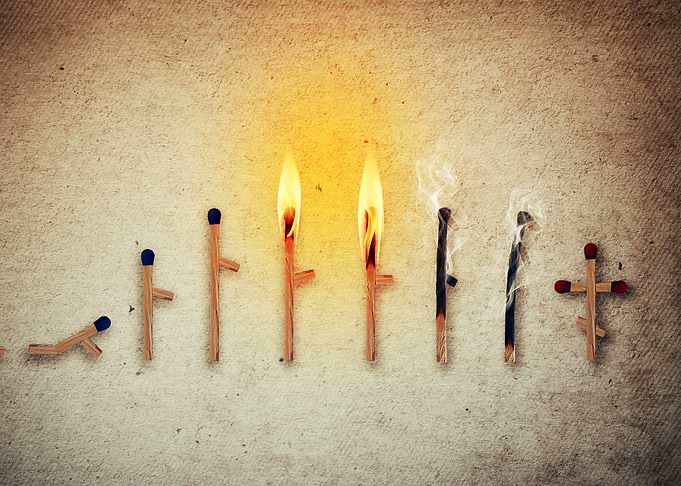 life cycle concept