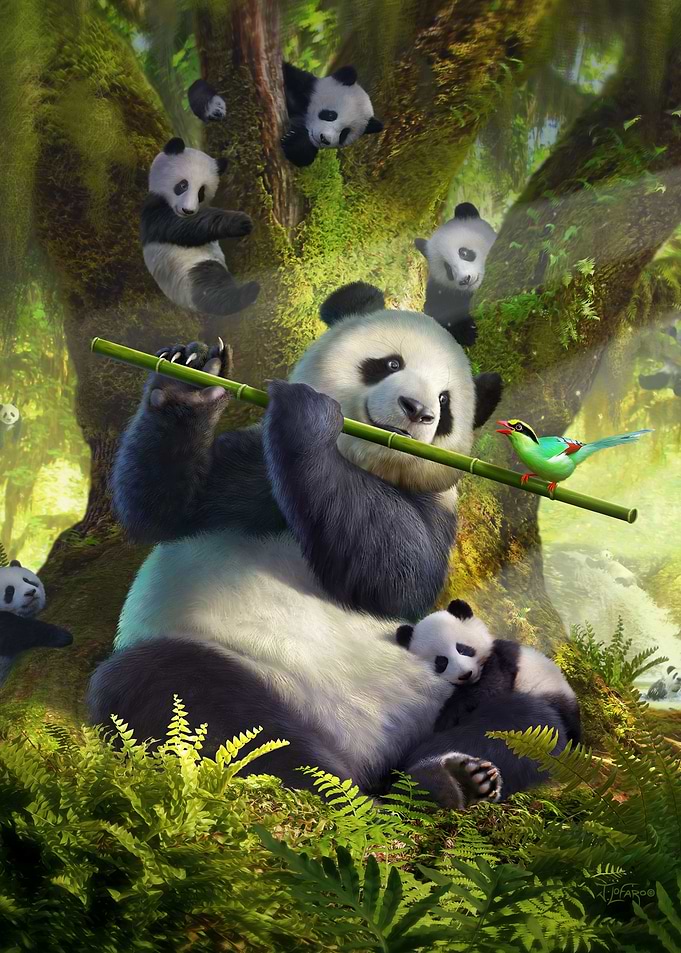 Pan Da Bear