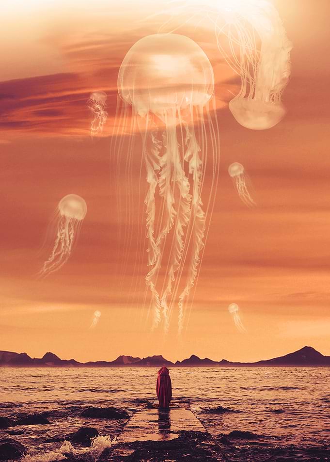 Flying Medusa