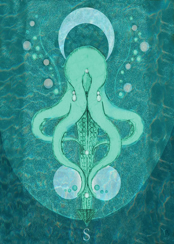 Octopus Morning Tide