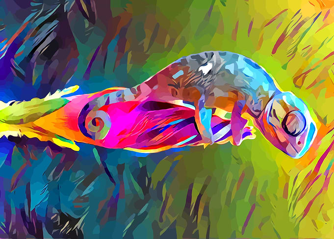 Chameleon
