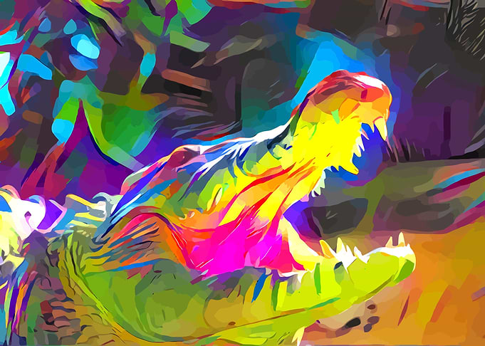 Alligator