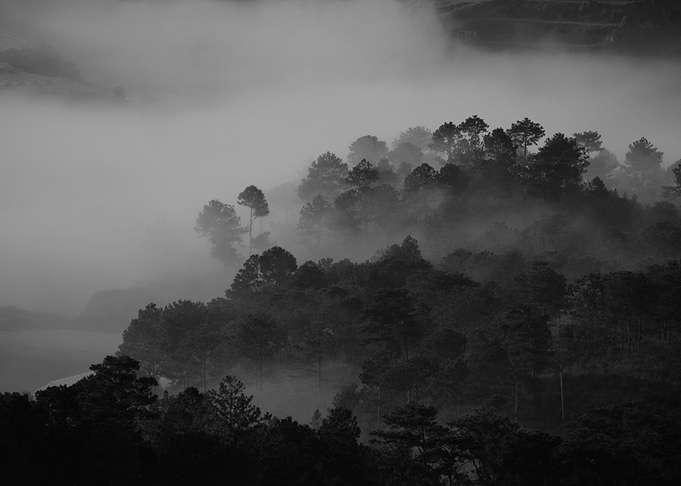 Black and White Photo