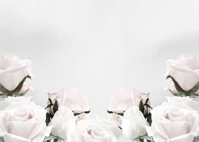 White roses frame