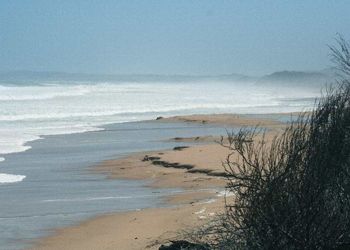 SeaScape 07