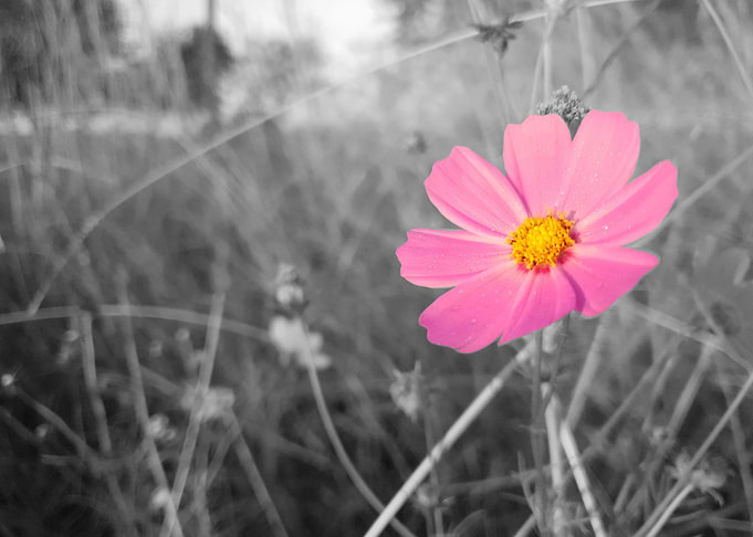 Photomagic Cosmos