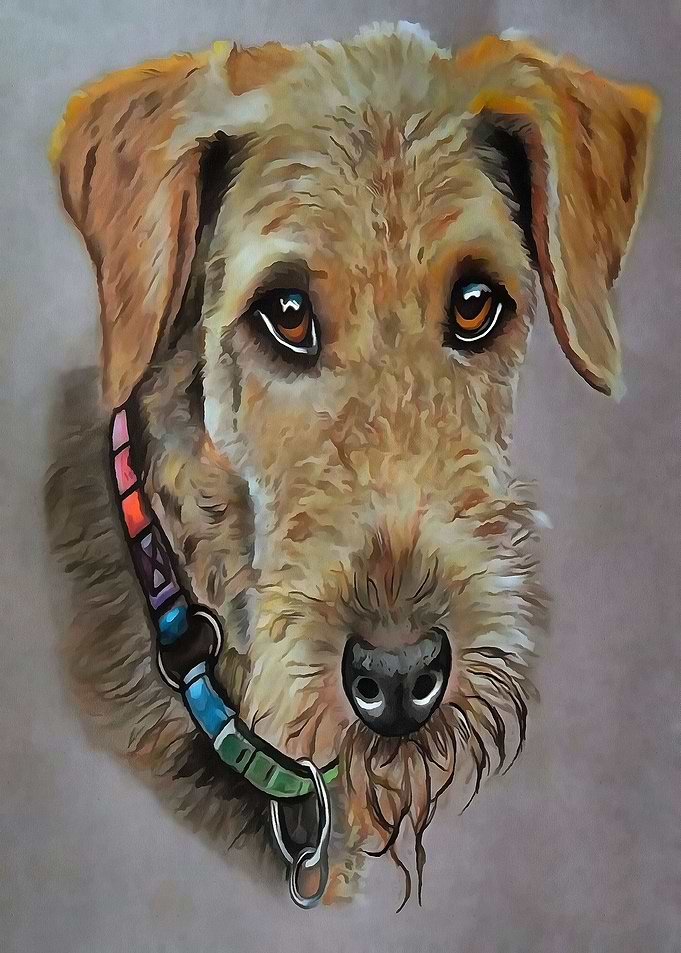 Tipsy The Terrier