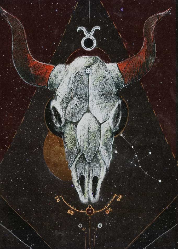 Taurus The Bull