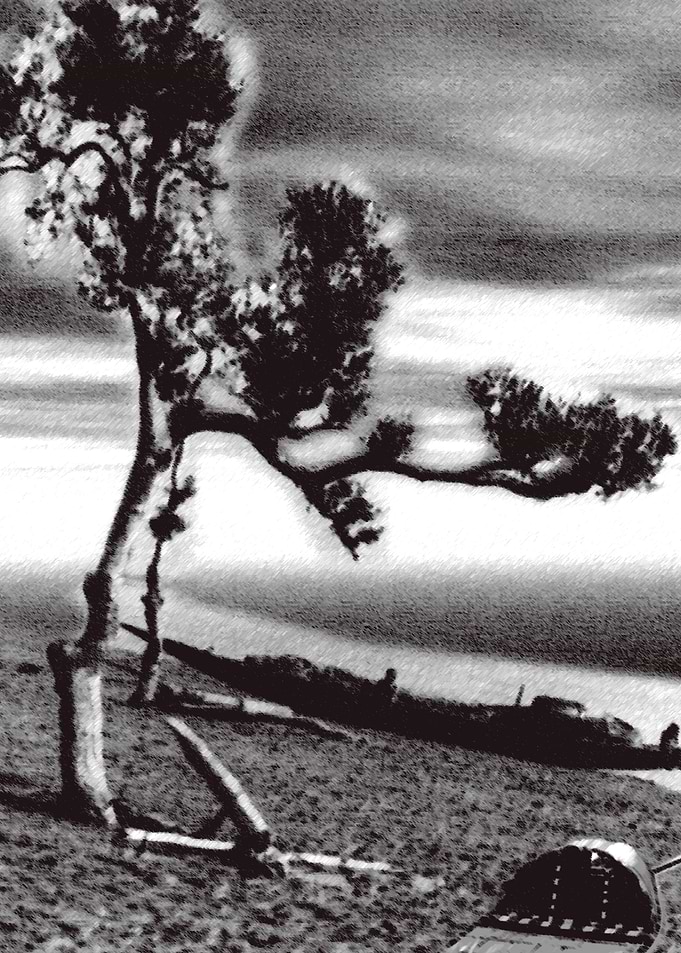 nature stroke