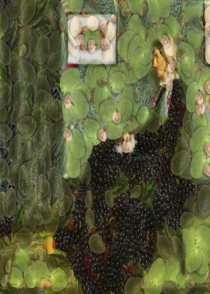 Whistlers Sour Grapes