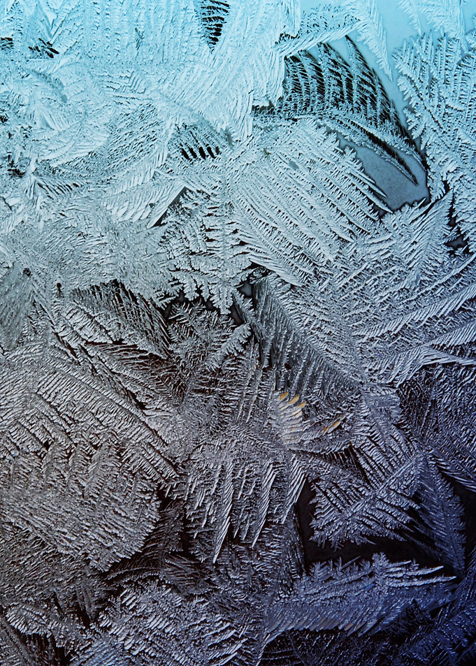 Blue Window Frost