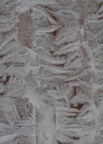 Frost