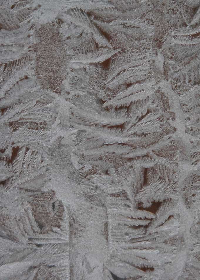 Frost