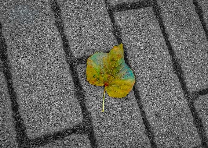 HOPE