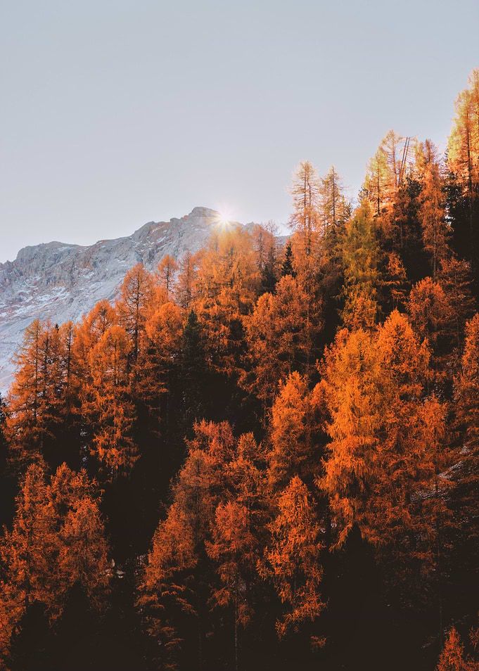 Autumn Photography