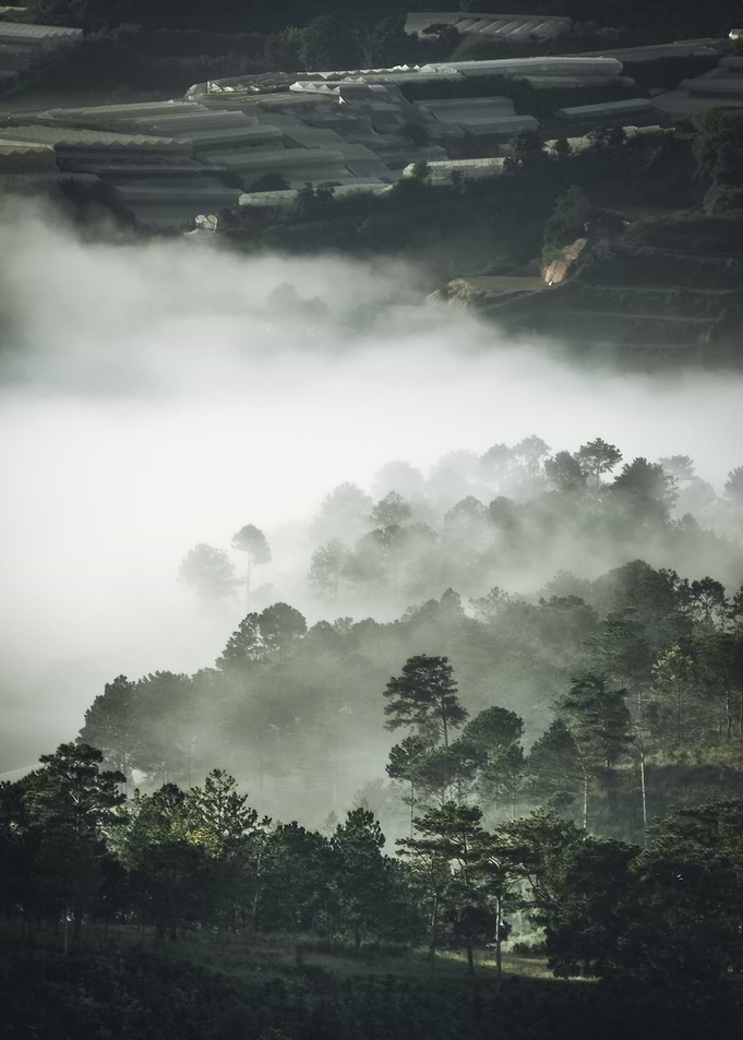 Beautiful Landscape Photo