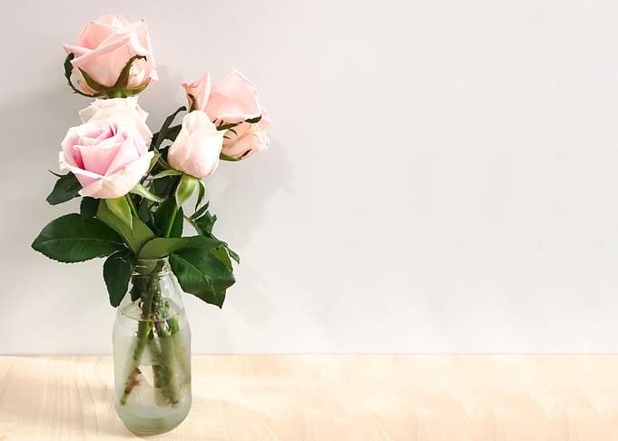 Pink pastel rose in glass