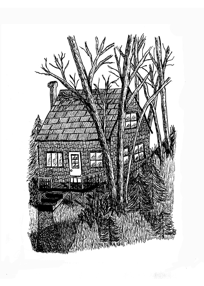 Cabin in the Woods