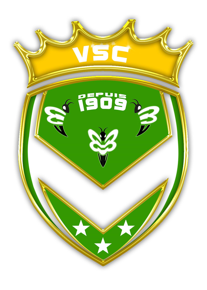 LOGO VSC 2019