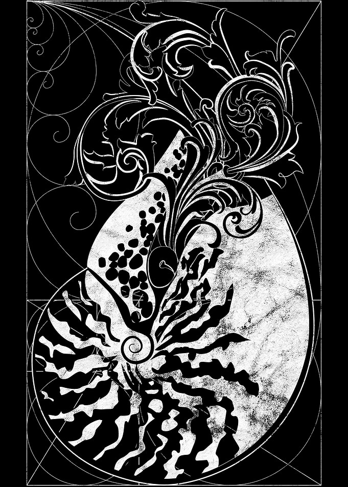 Nautilus