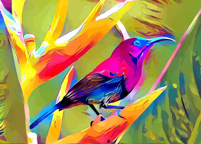 Red Bird