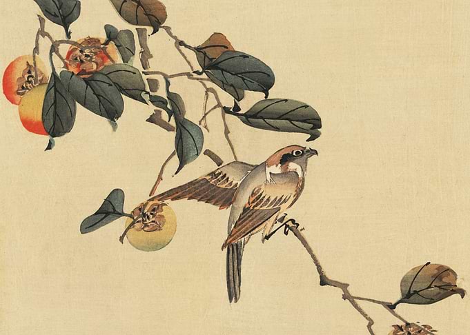 Bird in a Tree