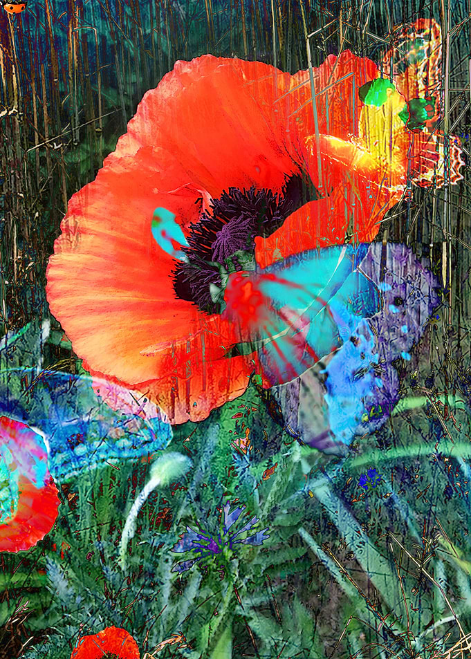 My meadow