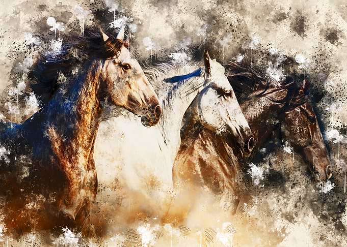Horses 2