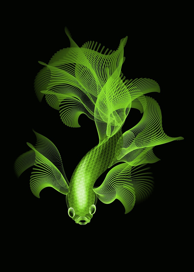 fighter fish in lime color