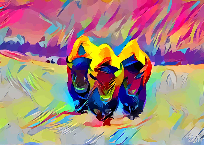 Bisons