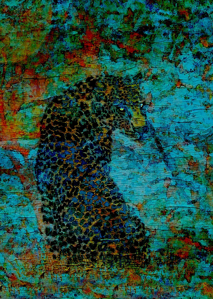 Staring Leopard