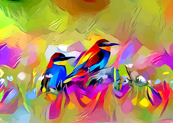 Birds