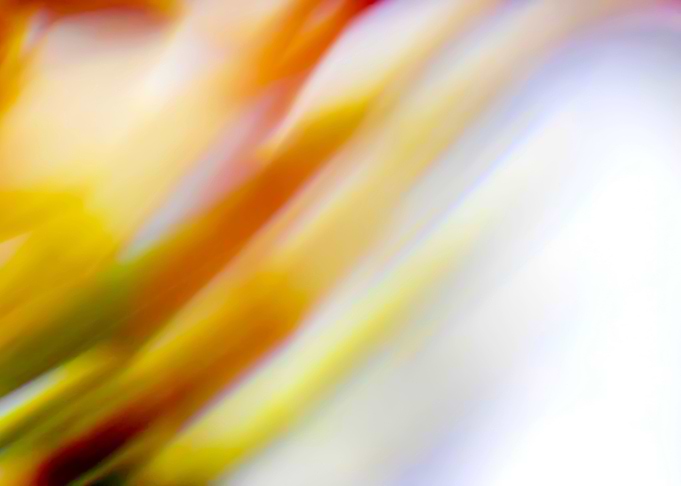 brilliant colorful
