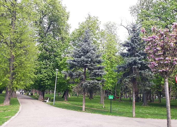 Path trough the park